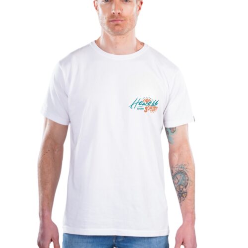 Remera Hawai - Imagen 3